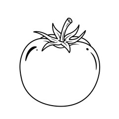 tomato, coloring, vegetable, fruit, kids, food, outline, drawing, sketch, lineart, printable, healthy, red, nature, garden, plant, organic, kitchen, nutrition, fresh, slice, salad, cooking, edible, ra