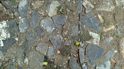 Rock and Soil Ground Texture for Graphic Design, 3D Rendering, and Digital Art