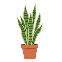 A simple illustration of a snake plant, Sansevieria trifasciata, with vibrant variegated leaves potted in a terracotta pot, isolated on a white background