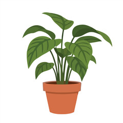 A healthy green houseplant in a terracotta pot, perfect for indoor decoration and plant enthusiasts