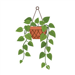 Lush green houseplant with cascading vines in a decorative hanging pot, isolated vector illustration for home decor