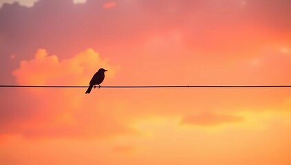 Lone Bird Silhouetted Against a Fiery Sunset Sky