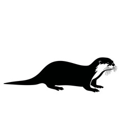 otter, drawing, lineart, illustration, minimalist, wildlife, aquatic, animal, sketch, outline, water, nature, river, mammal, whiskers, cute, black, white, wild, swimming, head, detailed, realistic, in