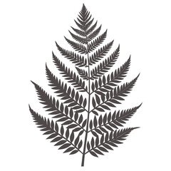 Intricate fern leaf silhouette vector illustration detailed fronds scalable graphics for nature designs