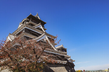 Kumamoto Castle with Autumn Leaves and Blue Sky in Japan