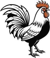 Stylized rooster vector with bold feather patterns and red accents, black and white illustration, farm animal, decorative poultry artwork