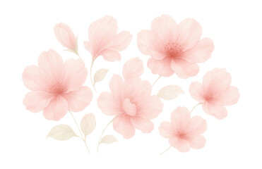 Fototapeta premium Delicate pink watercolor flowers on a white background.