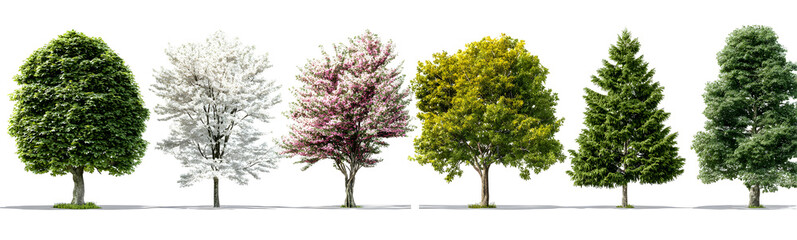Obraz premium Collection of trees, assorted foliage and seasonal growth realistic landscape. Isolated on transparent background.