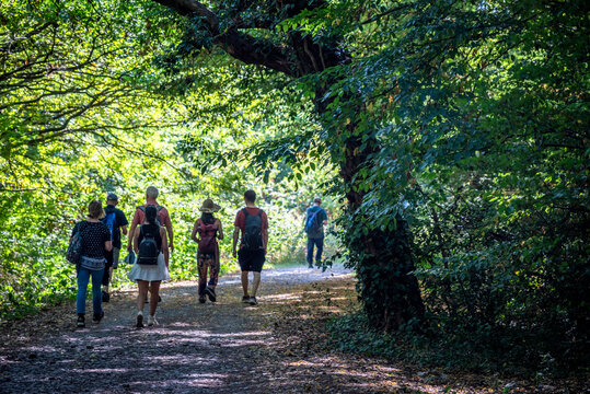 People hiking in Epping Forest, is a 2,400-hectare area of ancient woodland which straddles the border between Greater London and Essex, London, England, UK