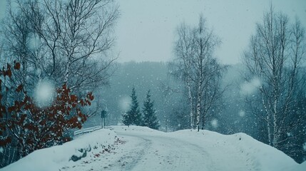 Snowfall on road in woods