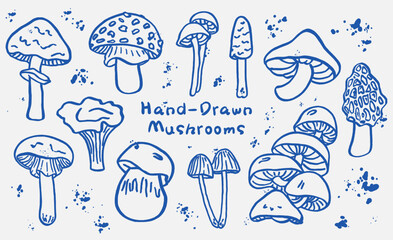 Set of outlined mushrooms in blue ink style with splashes and blobs. Hand drawn forest fungi illustration for botanical, autumn, food, and  ecology themes. Brush drawn fungi elements. © Danchenko