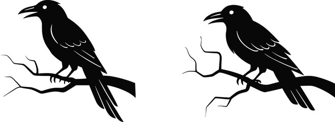 Two crow raven bird silhouettes perched on branches, black vector illustration of wild birds, gothic nature design for Halloween decoration