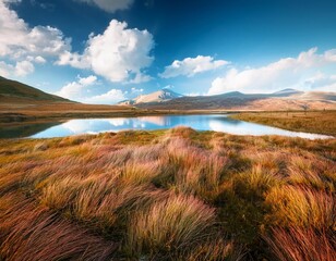 Beautiful view of amazing meadow in beautiful place lake with blue sky and clouds majestic nature landscape, vintage tone, long exposure picture 