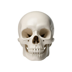 Fototapeta premium Close-up of a Human Skull on Black Background