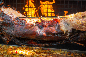 Chef Hands cutting whole grilled pork for steaks with knife. Pig grilled traditional coal and fire. The little pig is roasted whole on an open fire. Pig on the spit