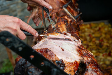Chef Hands cutting whole grilled pork for steaks with knife. Pig grilled traditional coal and fire. The little pig is roasted whole on an open fire. Pig on the spit