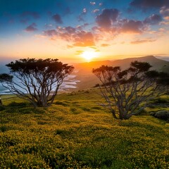 Beautiful view of the meadow and amazing trees in a famous place. This sunset shot is from above a glacier. sun peaks, nahal ki-kok, hadera