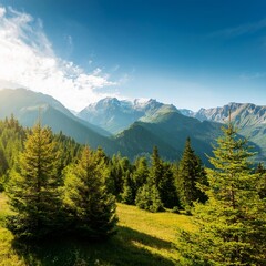 Beautiful view of the wilderness and amazing trees, wide angle lens shot with mountain range 