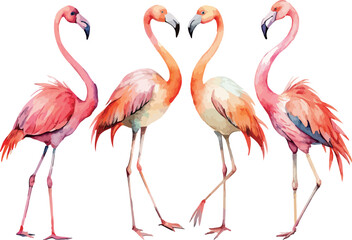 Set of Four Pink Flamingos Birds Classic Watercolor Vector Illustration