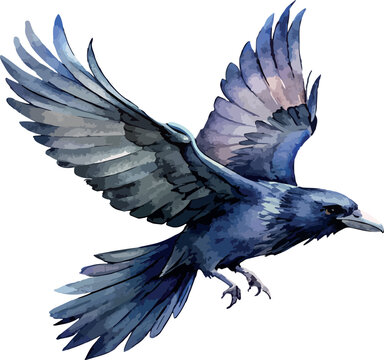 Black Flying Raven Mystical Watercolor Vector Illustration