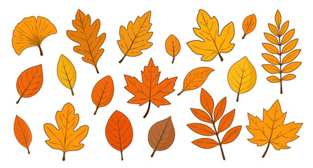 Obraz premium Autumn set of leaves of different shapes and colors on a white background. A collection of colorful autumn leaves from different trees. Hello autumn. Vector EPS 10.