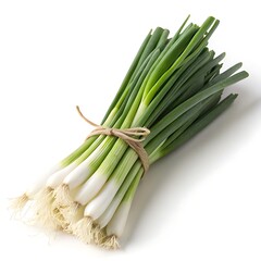 Obraz premium Fresh bunch of green onions tied with twine on a white background