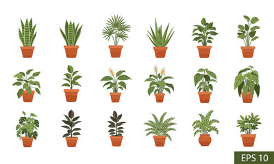 A diverse collection of popular indoor houseplants in pots, featuring various species for home decor and urban jungle concepts, isolated on a white background as a vector set