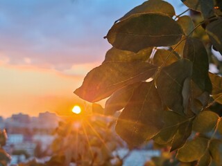 Nice view from Varna and Black sea