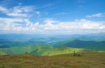 Naklejka premium Beautiful Carpathian mountains in Ukraine