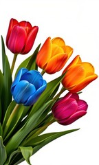 Vibrant tulip blossoms shaped like lightbulbs, isolated on white background, ready for design projects, white background, decoration