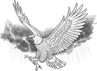 Black silhouette eagle illustration, stormy sky, outstretched wings, dynamic pose, storm clouds, raindrops, vector, wildlife art, dramatic flight scene