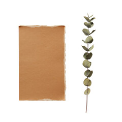 Elegantly ripped brown craft paper with textured edge, delicate dried eucalyptus sprig, artfully arranged on transparent background, high-angle flat lay, high key lighting, Concept of natural