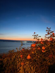 Nice view from Varna and Black sea