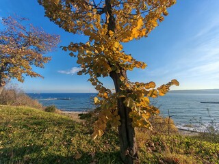 Nice view from Varna and Black sea