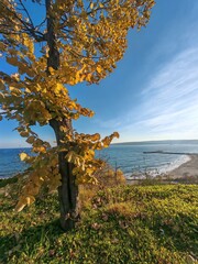Nice view from Varna and Black sea