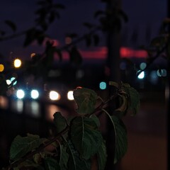 Nice view from Varna and Black sea