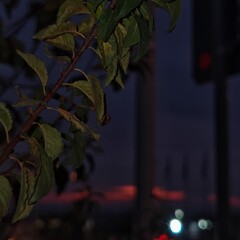 Nice view from Varna and Black sea