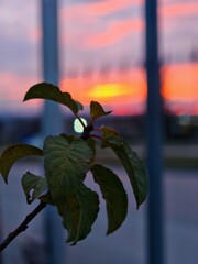 Nice view from Varna and Black sea