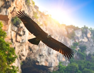 Bird of prey soaring above a rocky cave