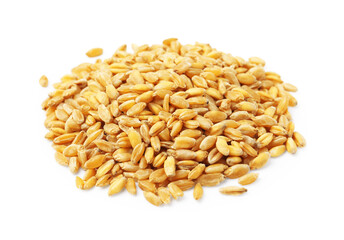 Pile of wheat grains isolated on white