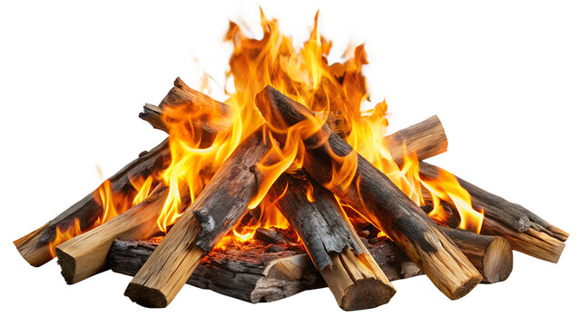 Roaring campfire with vibrant flames and charred logs isolated on transparent background, ideal for camping, outdoor adventures, and cozy nights