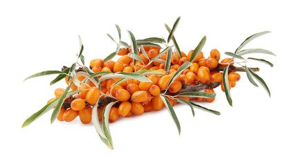 Fresh sea buckthorn berries with green leaves isolated on white