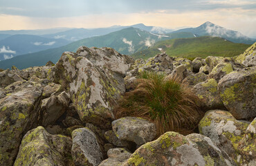 Beautiful Carpathian mountains in Ukraine