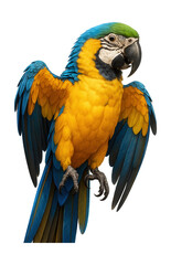 Obraz premium Watercolor painting of a Macaw parrot.