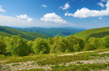 Beautiful Carpathian mountains in Ukraine