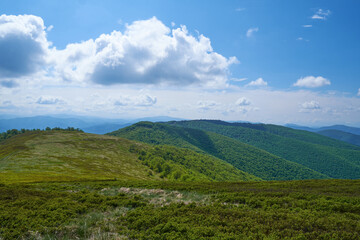 Beautiful Carpathian mountains in Ukraine