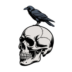 Raven perches on a human skull, symbolizing death and transformation. Suitable for gothic, dark themes, or halloweenrelated designs.
