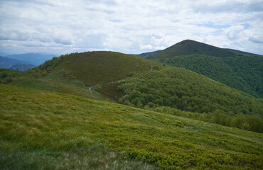 Beautiful Carpathian mountains in Ukraine