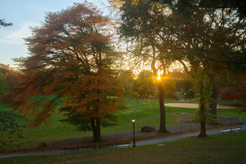 Lush foliage and autumn leaves trees in Central Park, New York City, United States