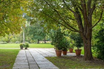 A paved garden path is lined with potted plants and shaded by a large tree. The scene opens to a green park in the background.